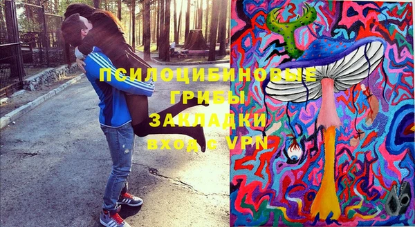 МДПВ Заводоуковск