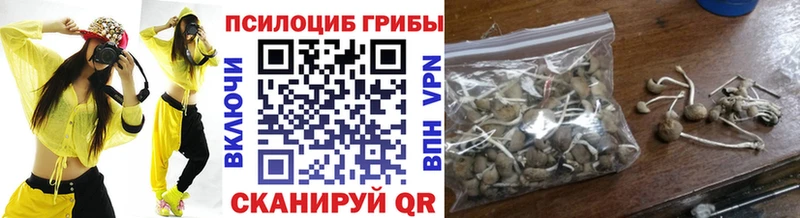 Купить закладки  Лабытнанги  Псилоцибиновые грибы Psilocybine cubensis 
