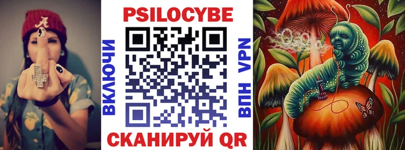 Псилоцибиновые грибы Psilocybe Лабытнанги